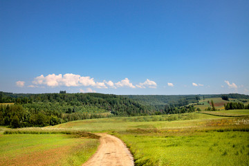 Footpath running through the fields.