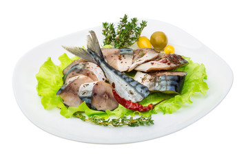Mackerels