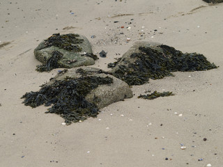 Seetank am Strand