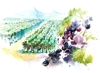Foto op Plexiglas Schilderingen wijngaarden