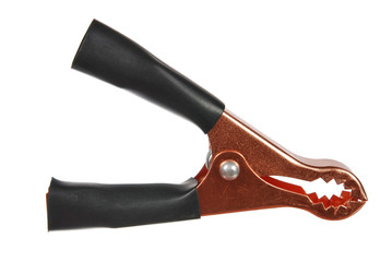 Obraz premium Alligator clip