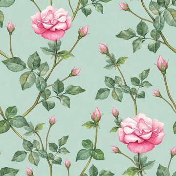 Watercolor pattern with rose illustration