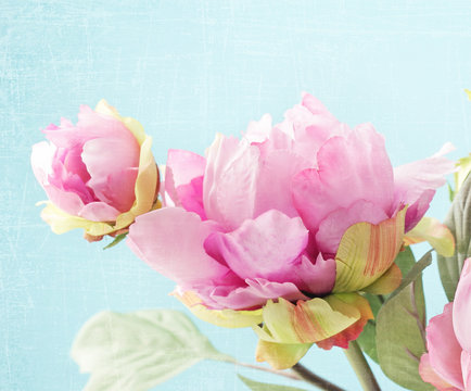 Fototapeta peony flowers