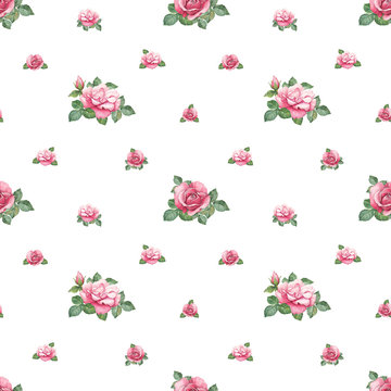 Watercolor pattern with rose illustration