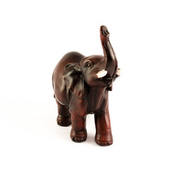 elephant as a model