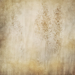 Vintage paper background with reed