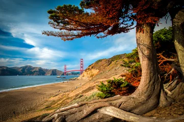 Raamstickers Golden Gate Bridge © Celso Diniz