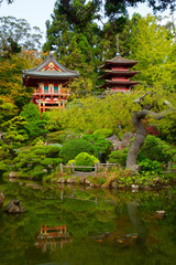 Fototapety  Japoński ogród herbaciany