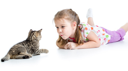 cute kid playing and kissing Scottish kitten