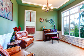 Charming green living room with piano