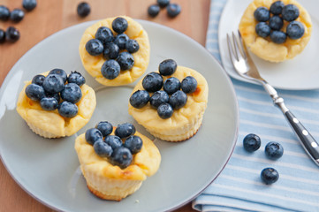 Käsekuchen Muffins mit Heidelbeeren