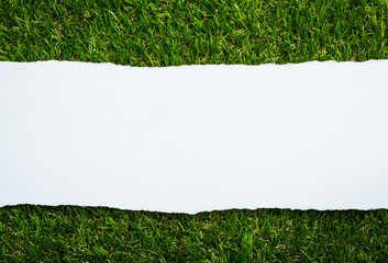 Ripped paper on green grass background