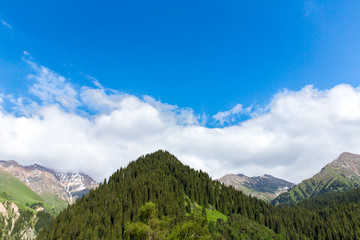 Fototapeta premium Nature near Big Almaty Lake,Mountains in Almaty, Kazakhstan