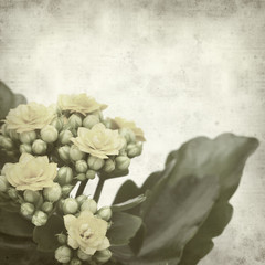 textured old paper background