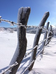 filo spinato nella neve