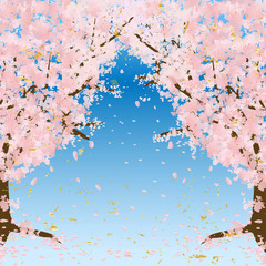 桜のトンネル 青空