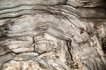 texture old wood 02
