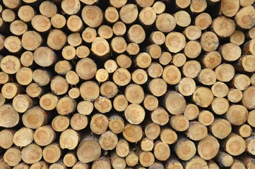 Möbelaufkleber Stacked Logs © Ana Gram