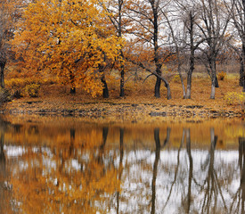 Fototapeta premium Autumn landscape on the lake