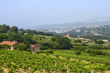 Landscape in Provence