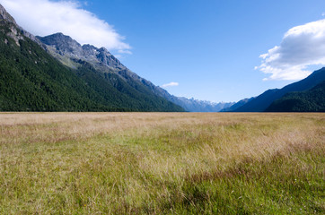 Fiordland - New Zealand