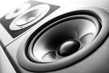 Speaker