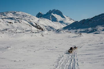 Crédence de cuisine en verre imprimé Arctique Dog sledding in Tasiilaq, East Greenland