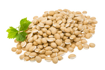 White beans