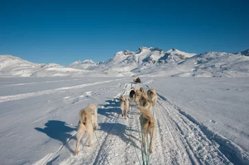Papier Peint photo Lavable Cercle polaire Traîneau à chiens à Tasiilaq, Est du Groenland