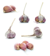 garlic set