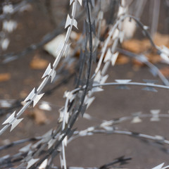 Barbed wire