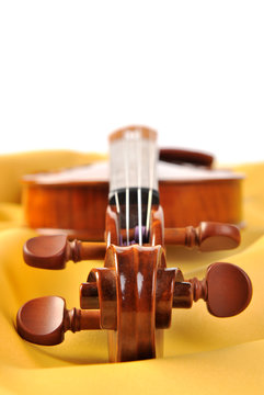 Violin isolate