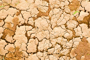 Closeup dry ground surface