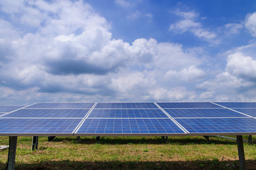 Solar panels in green field