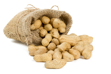 peanuts in a miniature burlap bag isolated on white