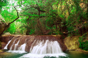 Kleiner Wasserfall unter grünen Bäumen und Büschen