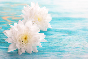 Fototapeta na wymiar White Blossoms