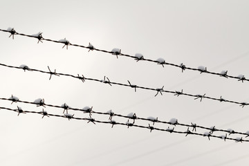 Barbed wire