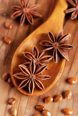 anice stellato sul cucchiaio di legno