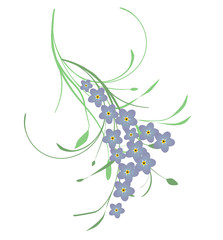 Forget me not Flowers