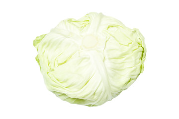 Fototapeta premium cabbage
