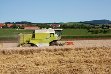 A combine machine is harvesting wheat