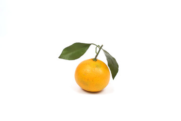 Ripe tangerine