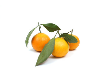Ripe tangerine