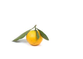 Ripe tangerine