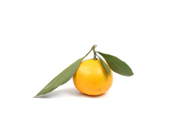 Ripe tangerine over white