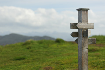 old wooden sign in the nature