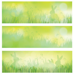 Fototapeta premium Vector green spring banners, rabbits in grass.