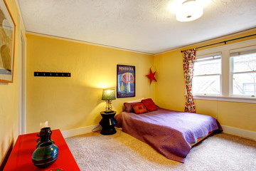 Bright  colors decorated young adult room