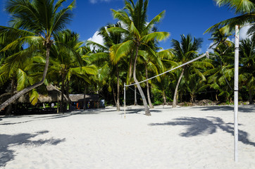 Volleyball on the beach among palm trees - obrazy, fototapety, plakaty